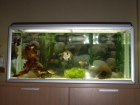 vendo acuario completo - mejor precio | unprecio.es