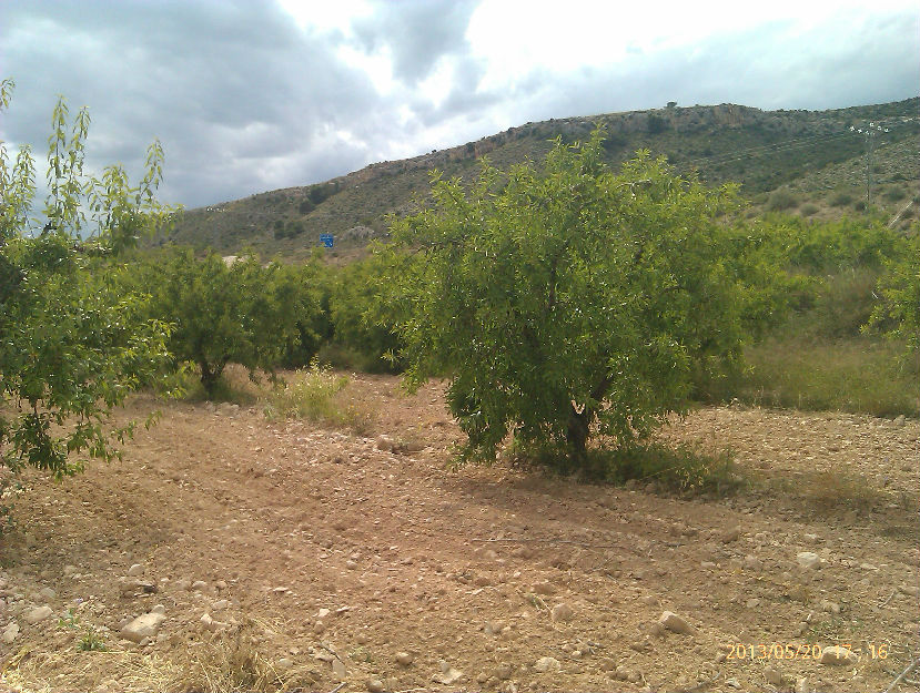 precioso  terreno en mula