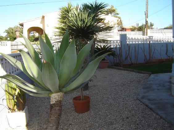 Chalet en Dénia