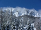Estudio : 2/3 personas - vars altos alpes provenza-alpes-costa azul francia - mejor precio | unprecio.es
