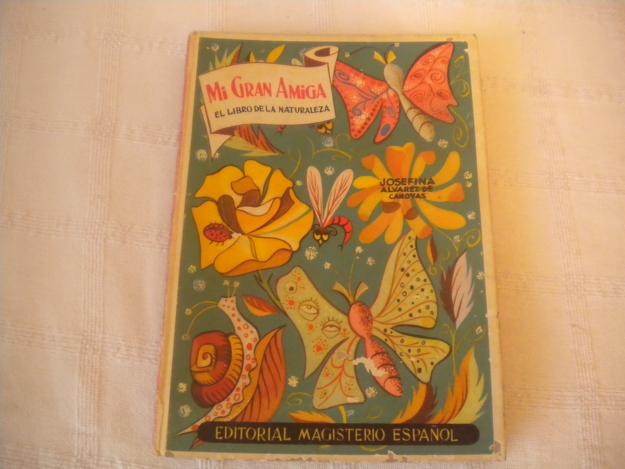 Mi Gran Amiga - El libro de tu Infancia