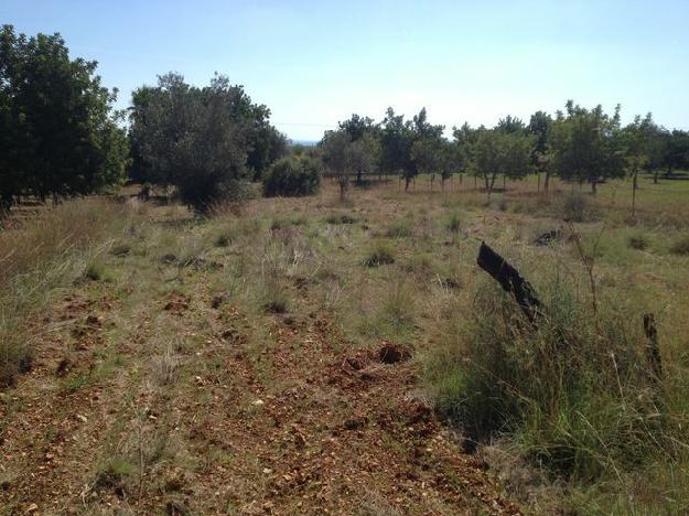 Finca rústica en Lloseta