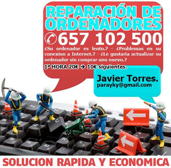 Técnico Informatico Autonomo Economico