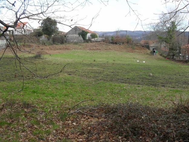 Finca con casa de piedra y hórreo en PonteCaldelas