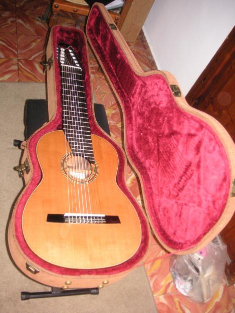 Vendo guitarra de 10 cuerdas