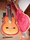 Vendo guitarra de 10 cuerdas - mejor precio | unprecio.es