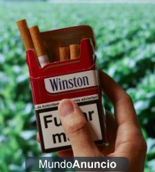 CARTON DE WISTON