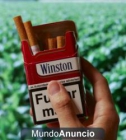 CARTON DE WISTON - mejor precio | unprecio.es