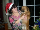 regalo perro - mejor precio | unprecio.es