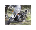 HONDA SHADOW 750 CA - mejor precio | unprecio.es