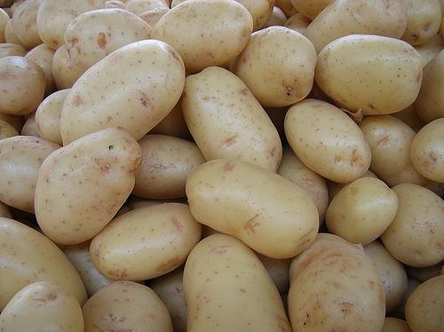 Vendo patatas de Galicia al por mayor