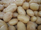 Vendo patatas de Galicia al por mayor - mejor precio | unprecio.es