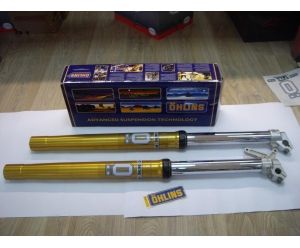 Horquilla Ohlins Yamaha WR250-450F 04-08