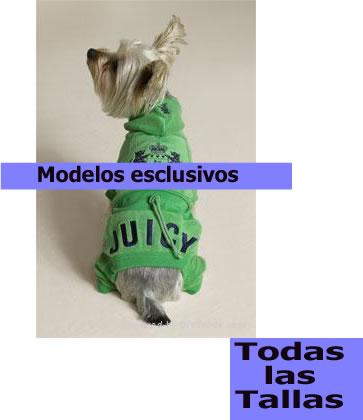 ROPA PARA LOS PERRITOS EXCLUSIVAS