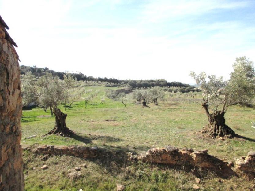 Casa de pùeblo diafana con parcela de 686 m2 en estadilla pirineo de huesca