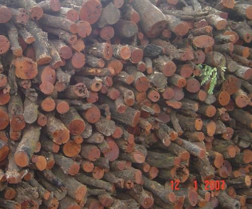 LEÑA MADERA CHIMENEA BARBACOAS