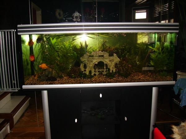 se vende un muy bonita acuario 350 ltr