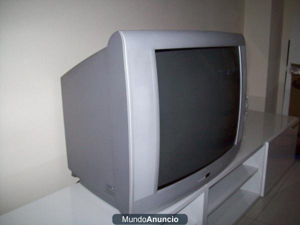 Vendo mueble de TV y Television 28\