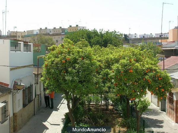 ALQUILO  HABITACIÓN EN HABITACIÓN COMPARTIDA SEVILLA