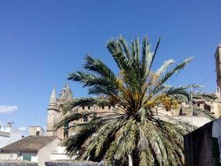 Casa en alquiler en Felanitx, Mallorca (Balearic Islands)