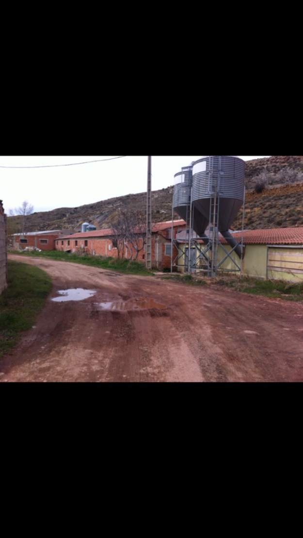 Granja de conejos en pleno funcionamiento en Escucha (Teruel)