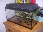 Vendo acuario nuevo - mejor precio | unprecio.es