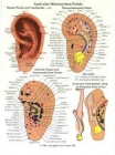 Auriculoterapia para adelgazar - mejor precio | unprecio.es