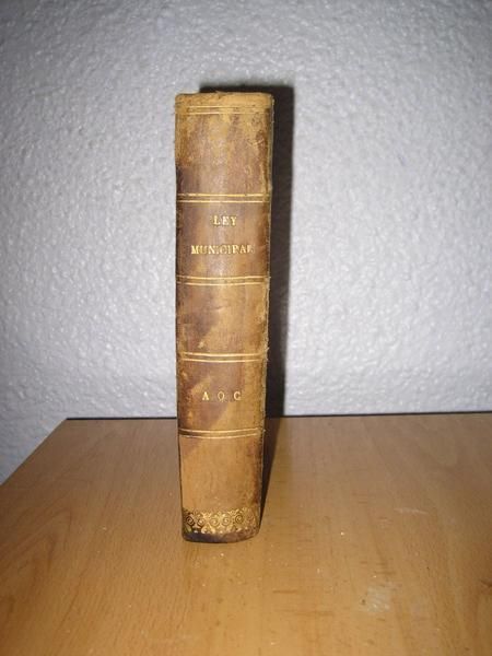 Constitución de 1877 - Ley Municipal de Madrid