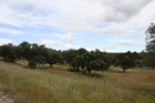 Finca ganadera 340.000 m2 .guadarrama. oportunidad de inversion. - mejor precio | unprecio.es