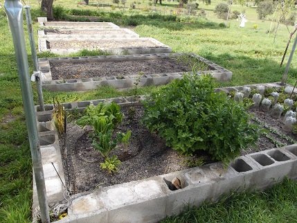 Jardinero, mantenimiento de fincas Talavera de la Reina