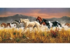 Puzzle 13200 clementoni Band of thunders - mejor precio | unprecio.es