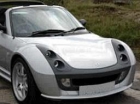 ACOPOLES/SPOILERS DELANTEROS SMART ROADSTER BRABUS - mejor precio | unprecio.es