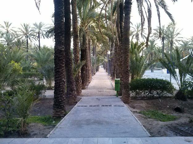Piso en Elche/Elx