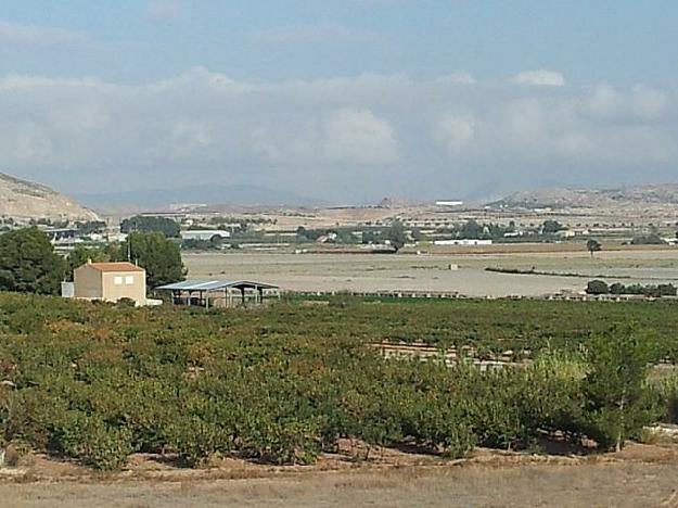 Finca rústica en Villena