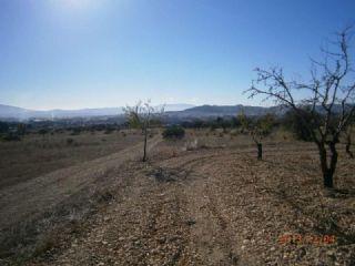 Terreno/Finca Rstica en venta en Yecla, Murcia (Costa Cálida)