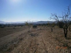 Terreno/Finca Rstica en venta en Yecla, Murcia (Costa Cálida) - mejor precio | unprecio.es