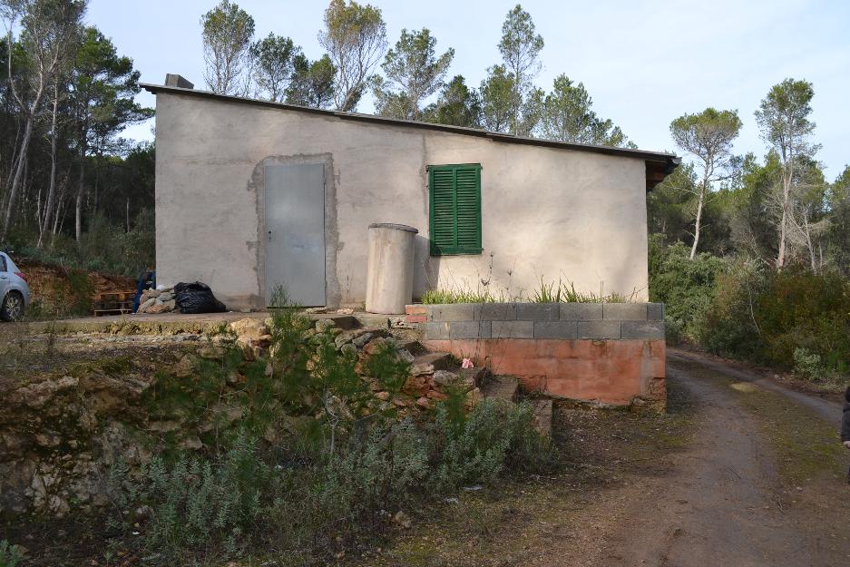 Finca rustica con casita de aperos