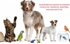 Cuidadores de mascotas - madrid - mejor precio | unprecio.es