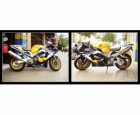 HONDA CBR 900 RR FIREBLADE - mejor precio | unprecio.es