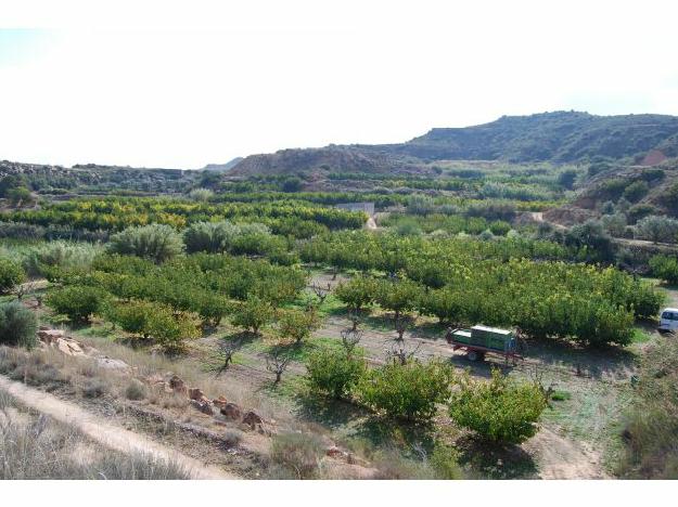 in Caspe,  Aragon   - 45000  EUR