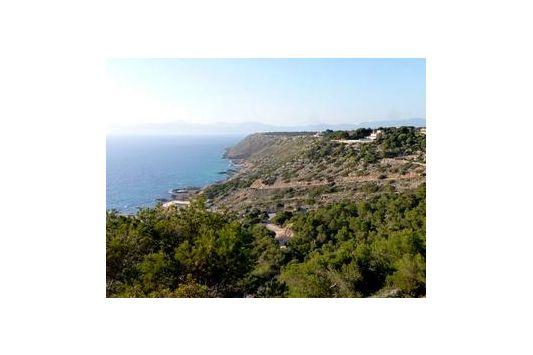 Terreno y Solares En Venta en Llucmajor, Mallorca