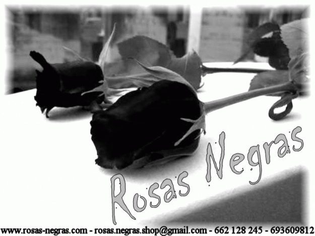 Rosas Negras (Gotich Shop)