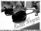 Rosas Negras (Gotich Shop) - mejor precio | unprecio.es