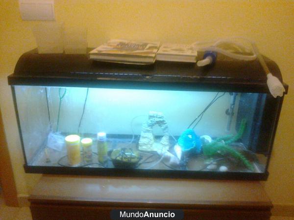 acuario 120 litros