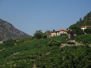 Finca/Casa Rural en venta en Sober, Lugo