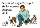 ~Cuidamos tu mascota~ - mejor precio | unprecio.es