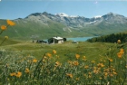 Chalet : 2/15 personas - val cenis saboya rodano alpes francia - mejor precio | unprecio.es