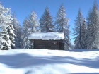 Apartamento en villa : 2/4 personas - auronzo di cadore belluno (provincia de) veneto italia - mejor precio | unprecio.es