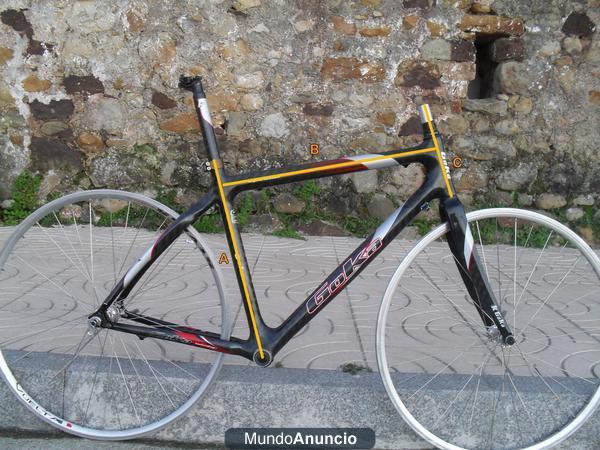 Cuadro de carbono Goka Special Edition