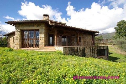 Venta de finca en Venta De Finca Con Casa En Villanueva De La Vera, Villanueva de la Vera (Cáceres)